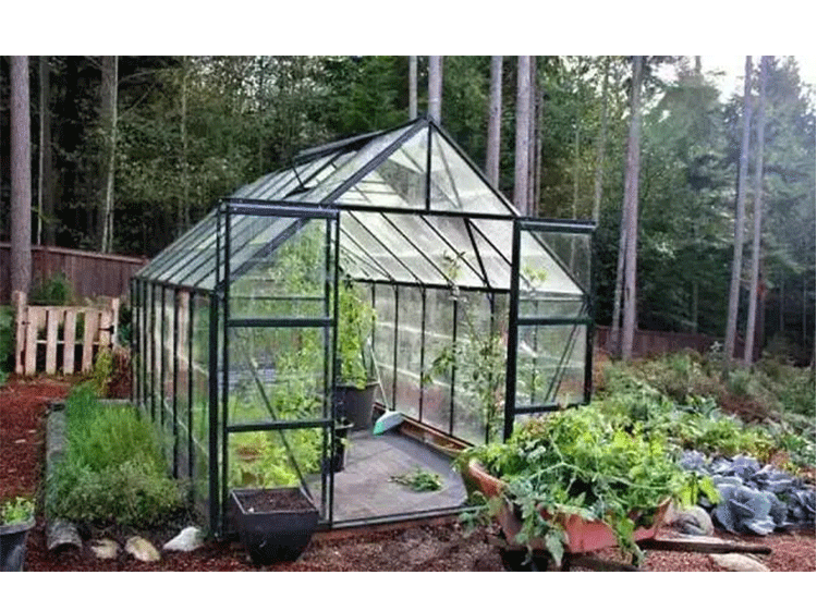 1651116708165389.png 2.png